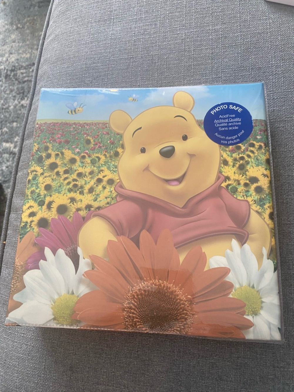 Disney Winnie the Pooh photo album ~ New